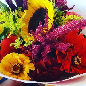 Meet your Posher, Marisol